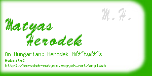 matyas herodek business card